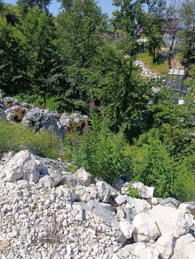 The image depicts a rocky, overgrown hillside under a clear blue sky, suggesting an outdoor, possibly natural or semi-natural environment. The foreground is dominated by a pile of light-colored, angular rocks and gravel, with sparse, dry vegetation growing amongst them. Behind this, a lush green landscape unfolds, featuring dense trees with full foliage and tall, leafy plants, some of which have small purple flowers. In the middle ground, several large, weathered grey rocks are scattered, interspersed with more greenery and patches of moss.
Further in the background, the terrain slopes upward, revealing more trees and a glimpse of man-made structures. A white fence or railing runs along a pathway, and on the right side, there are what appear to be outdoor cages or enclosures, possibly for animals or exhibits, constructed with wire mesh and wooden frames. In the distance, a red structure is partially visible amongst the trees, and a few people can be seen walking near the fenced area. The overall scene suggests a location that blends natural scenery with some form of human-made attraction or facility, consistent with a park, ecological center, or tourist site. The location, identified as Kuk, Montenegro, implies a geographical context in the Balkan region.