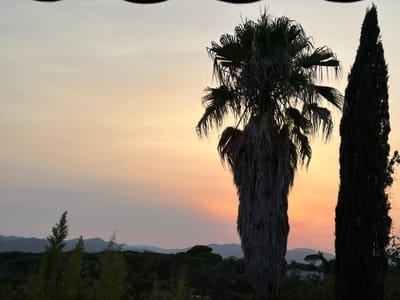The image depicts a tranquil sunset scene in Vallcanera Parc, Spain. Silhouetted against a gradient sky of pale yellow and soft orange are a prominent palm tree and a tall, slender cypress tree. In the background, a dense forest stretches across rolling hills, with a lighter, mountainous horizon beyond. The foreground is partially obscured by the dark foliage of smaller trees and plants. The overall impression is one of natural beauty and serenity.