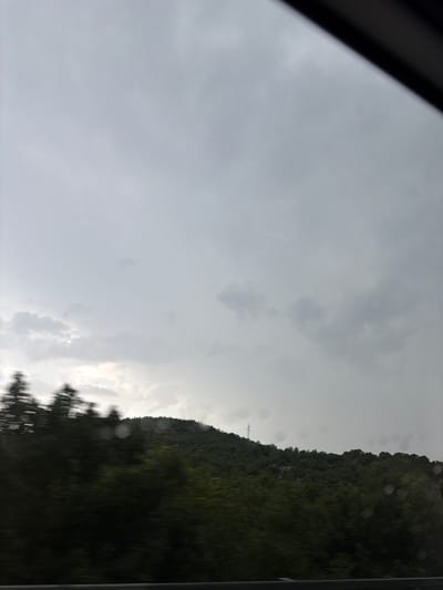 The image depicts a view from a moving vehicle looking towards a tree-covered hillside under a cloudy sky. The foreground shows blurred dark green foliage, indicating motion. The middle ground features a densely wooded hill. In the distance, a pylon or electricity tower is visible on the crest of the hill. The sky is overcast with varying shades of gray, suggesting possibly impending rain or diffused light. The scene appears to be in a natural, possibly rural, setting.