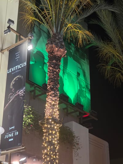 The image shows a nighttime exterior scene in Burbank, California, featuring a billboard for the film "LEVITICUS" and a palm tree wrapped in decorative lights. The billboard, which is black with white text and a silhouette of a person, is mounted on a building. Above and to the right of the billboard, a large green-lit mural of faces is visible. The palm tree stands in front of the mural, its trunk adorned with numerous small, warm-toned lights. Additional palm fronds are visible against the dark night sky. Lights are mounted on the building, illuminating the billboard and mural.