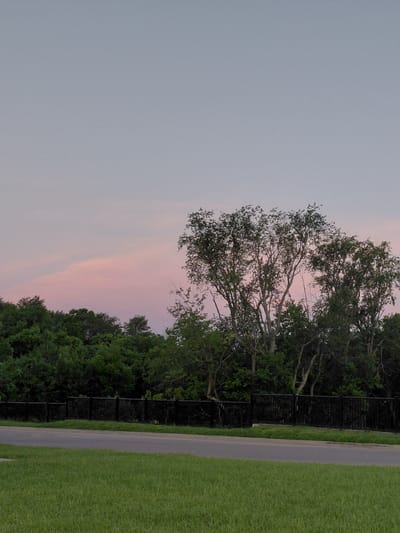 The image depicts a scenic view of a park or natural area in Lexington, USA, during what appears to be dusk or early dawn. The sky is a soft gradient of light blue and pale pink, suggesting the presence of sunset or sunrise colors. Dominating the right side of the frame is a lush green lawn, meticulously mowed, bordered by a dark, possibly black metal fence. Adjacent to the grass is a paved pathway, curving gently through the landscape. Beyond the fence, a dense line of trees creates a natural barrier, with some larger trees extending into the sky, their branches silhouetted against the pastel-colored clouds. The overall impression is one of tranquility and natural beauty, possibly a quiet evening or morning stroll in an urban park. There is no visible text in the image.