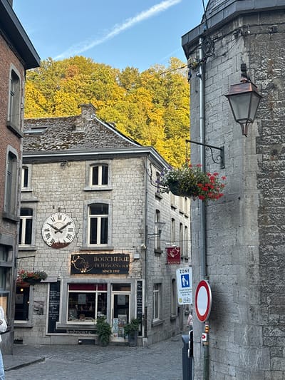 The image shows a cobblestone street in the historic city of Durbuy, Belgium, framed by stone buildings. On the left, a red brick building with a gray stone archway window is visible. Adjacent to it, a grey stone building features a large round clock with Roman numerals. Below the clock, a business sign reads "BOUCHERIE BODSON & FILS SINCE 1992," indicating a butcher shop. Several shop windows display goods and signage, including "Sandwicherie." Further down the street, a hanging basket filled with red, white, and purple flowers adds a touch of color. On the right side of the street, a rough-hewn stone building has a hanging lantern and various electrical conduits. Traffic signs, including a "ZONE" sign indicating pedestrian and bicycle access with delivery restrictions, and a red and white circular prohibitory sign, are mounted on a pole. A person in a pink jacket is walking away from the camera down the street. In the background, a hillside covered with trees displaying vibrant yellow and orange autumn foliage is visible under a blue sky with wispy white clouds. The overall scene depicts a charming, old-world European streetscape during the autumn season.