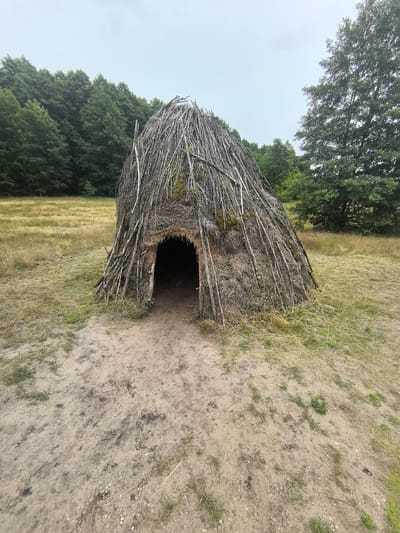 The image shows a primitive shelter constructed from branches and straw, resembling a hut or wigwam. It is situated in an open, grassy field with a dirt path leading to its entrance. In the background, a dense forest of green trees borders the field. The sky is overcast and pale, suggesting a cloudy day. The shelter has a conical shape and an opening for entry. The construction appears rustic and handmade, with visible straw and interwoven branches forming the walls and roof. There are no people or animals visible in the scene. The overall environment suggests a rural or natural setting, potentially an historical reconstruction or a natural dwelling.