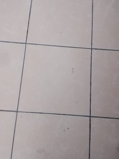 The image shows a close-up view of a tiled floor. The tiles are light beige or cream colored and arranged in a grid pattern. The grout lines are dark gray. There are some small specks and smudges on the surface of the tiles, indicating they are not perfectly clean. The lighting suggests the photo was taken indoors, possibly in a residential or commercial space. There are no people or any other identifiable objects in the frame. The scene is devoid of any specific details that would allow for identification of its location within Aqköl, Kazakhstan.