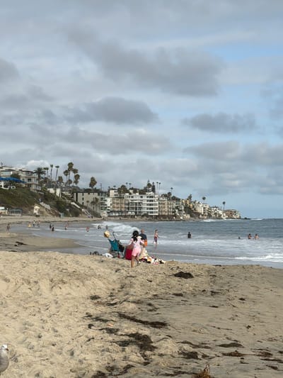 A cloudy day at the beach in Laguna Beach, California, shows several people enjoying the water and the sand. The ocean is a deep blue with white waves breaking near the shore. Buildings are visible on the hillside overlooking the beach, with palm trees scattered among them. In the foreground, a child in a pink dress and shorts plays on the sand with a stroller beside them. Further out in the water, other beachgoers swim and wade. A seagull stands on the left side of the frame. The sand is light brown and textured, with patches of seaweed.