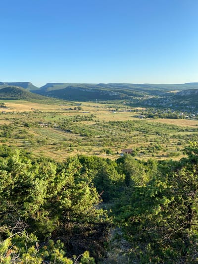The image is a panoramic landscape view from an elevated position, likely a hillside, overlooking a valley in Krasnomakskoye rural settlement, Ukraine. The foreground is dominated by dense, green evergreen trees, possibly junipers, with visible branches and foliage catching the sunlight.
Beyond the immediate foreground, the landscape opens up to reveal a vast valley characterized by rolling hills and expansive fields. The fields display a patchwork of colors, with areas of dry, golden grass juxtaposed with vibrant green agricultural plots, possibly vineyards or orchards, indicated by neat rows of plants. Scattered throughout the valley are small clusters of buildings, suggesting a rural settlement or village. The architecture appears to be traditional, with red-tiled roofs visible on some structures. A single brown-roofed house with a light-colored wall is clearly discernible in the mid-ground, surrounded by greenery and a few parked vehicles.
In the background, a series of majestic, flat-topped mountains or plateaus rise, their slopes covered in green vegetation. The clear, unblemished blue sky stretches across the upper portion of the image, indicating fair weather and likely a late afternoon or early morning setting, given the angle of the sunlight casting shadows on the hills. The overall impression is one of a serene and expansive rural landscape bathed in natural light. No people or animals are visible in the image.