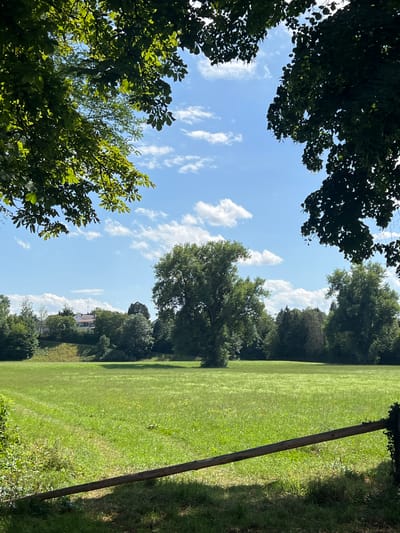 The image captures a sunlit, open meadow surrounded by lush green trees under a bright blue sky dotted with white clouds. In the foreground, a rustic wooden fence runs diagonally across the frame, casting a shadow on the grass. The meadow itself is well-maintained, with a subtle path visible, suggesting it's a frequented area. In the mid-ground, a large, mature tree stands prominently in the center of the field. Behind the meadow, a gentle slope is covered with trees, and a building with a red roof and a tall antenna is partially visible, indicating a nearby residential area or a facility within the city of Moosburg, Germany. The overall scene evokes a sense of peace and natural beauty.