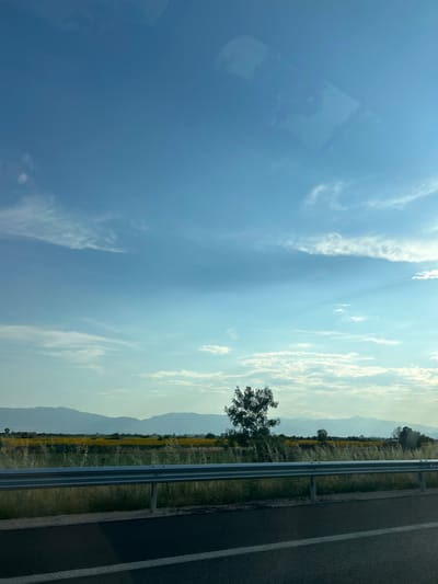 This is a landscape photograph taken from a moving vehicle, likely a car. The image is oriented vertically, with the sky occupying the left two-thirds of the frame and a roadside scene on the right. The sky is a clear blue with scattered, wispy white clouds, particularly concentrated towards the right side of the sky where the light is brighter, suggesting it is daytime, possibly late afternoon given the warm, golden hues mixing with the blue.
The right third of the image shows a roadside. A paved road with white lane markings is on the far right. Adjacent to the road is a metal guardrail, separating it from a field. The field is covered in a mix of green grass and what appears to be yellow wildflowers, stretching towards a line of distant, hazy mountains. A solitary, leafy tree stands in the field, silhouetted against the brighter sky. The overall mood is peaceful and expansive, with a sense of travel and open space. There is no visible text in the image. The location context is Saraia, Bulgaria.
