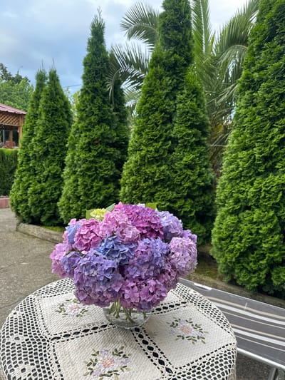 A vase of hydrangeas sits on a round table with a white crocheted tablecloth, adorned with floral embroidery. The table is placed outdoors on a paved area, likely a patio or garden. In the background, several tall, conical green trees stand in a row. Behind the trees, palm fronds are visible, suggesting a lush, possibly subtropical, environment. A portion of a wooden structure with a red roof and a striped lounge chair are also present in the scene. The sky is overcast with clouds. There are no people visible in the image.