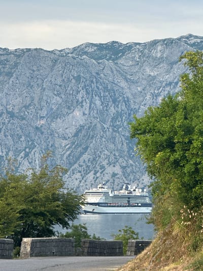A cruise ship is docked in a bay, with a large, rocky mountain range looming in the background. The mountain is covered in sparse vegetation, and its rugged terrain is visible in detail. Green trees frame the foreground and mid-ground of the image, with some growing along a stone wall that borders a paved road. The water is calm and reflects the ship and the surrounding landscape. The sky is overcast, suggesting it may be early morning or late afternoon. The scene appears peaceful and scenic. There is no visible text in the image.