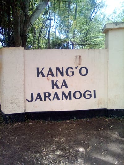 The image displays a section of a pale-colored concrete wall, situated in West Sakwa ward, Kenya, under bright natural light. The wall features the prominent black capital lettering "KANG'O KA JARAMOGI". Minor surface damage, including a rectangular area of peeling paint or render, is visible above the 'G' in KANG'O. The lower portion of the wall is painted black. The foreground consists of dark brown soil with scattered dry leaves and sparse green shoots. Above and behind the wall, a dense arrangement of green trees and foliage is visible against a bright sky, suggesting an outdoor environment. No individuals, specific actions, or interactions are present.