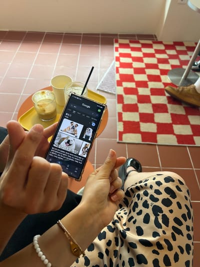 Two individuals are at a cafe in Daegu, South Korea. One person's hands are in the foreground, holding a smartphone displaying a Google search for "Bulldog." The phone shows images and text about bulldogs. On the table beside the phone are two drinks, one in a glass with a straw and another in a clear cup with foam. The other person's legs are visible, wearing a leopard-print skirt and black platform shoes. The cafe has a tiled floor and a red and white checkered rug.