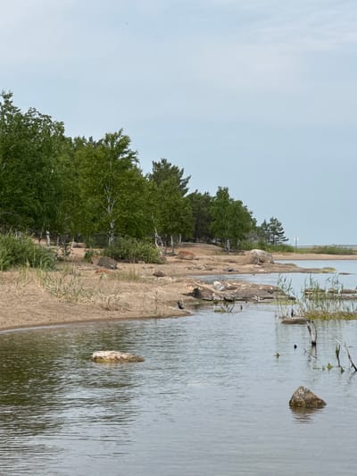 The image shows a serene natural landscape with a sandy shoreline bordering calm, rippling water. Dense green trees, including birch and pine varieties, line the elevated bank, interspersed with large rocks. The sky above is a pale, overcast blue. The water itself is clear enough to reveal submerged rocks and aquatic vegetation. A single, small bird is visible in the upper left quadrant of the sky. The scene is devoid of any human presence or activity. This landscape appears to be characteristic of the natural environment found near the city of Ayyrtau, Kazakhstan, known for its picturesque lakeshores and surrounding forests.