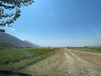The image captures a rural landscape with a dirt road winding through fields under a clear blue sky. To the left, a lush green field of crops stretches towards a range of mountains in the distance. The mountains are rugged and appear arid, with some sparse vegetation. The dirt road, composed of gravel and dirt, is on the right side of the image and appears to be a well-traveled path. The foreground shows the edge of a windshield, indicating the photo was taken from inside a vehicle. Overhead, the branches of a tree with dark green leaves are visible in the upper left corner, partially obscuring the sky. The overall scene suggests a sunny day in a remote, agricultural area. There are no people or specific structures visible that would definitively place the location in the city of Khaidarkan, Kyrgyzstan, though the mountainous terrain and agricultural fields are consistent with such a region.