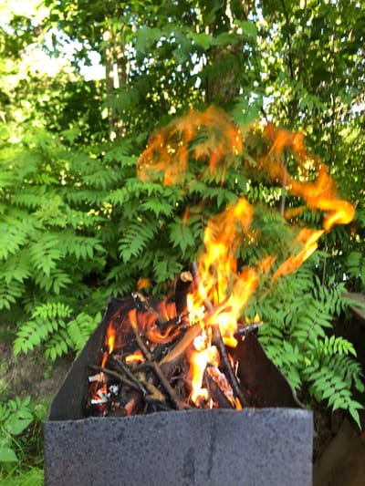 A fire burns in a dark metal brazier, with flames of orange and yellow licking upwards. The brazier is filled with dry twigs and branches, some of which are smoldering. In the background, lush green ferns and the leaves of trees create a natural, outdoor setting. The sunlight filters through the foliage, casting dappled light on the scene. The image appears to have been taken outdoors, likely in a garden or wooded area, given the abundance of plant life. The flames suggest the fire is active and producing heat. There are no people visible in the image. The time of day is difficult to determine precisely, but the brightness of the light filtering through the trees suggests it is daytime. The overall mood is one of natural ambiance, with the elements of fire and foliage coexisting. There is no visible text in the image.