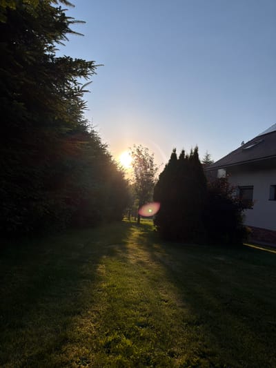 The image depicts a sunlit backyard in Mordarka, Poland, during what appears to be late afternoon or early evening. The sun is setting, casting long shadows across a well-maintained lawn. On the left side of the frame, a dense row of evergreen trees forms a natural barrier, partially obscuring a section of the sky. In the mid-ground, a slender tree stands with its branches illuminated by the setting sun. To the right, a modern house with a dark roof and solar panels is visible. A large, dark green evergreen shrub or small tree is in the foreground on the right. The sky is a clear, pale blue, with the sun's rays creating a lens flare effect, a circular artifact that appears as a bright, colored spot with concentric rings. The overall impression is one of peaceful domesticity and the beauty of nature as daylight fades. There are no people or animals visible in the scene.