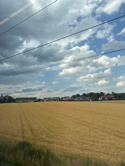 The image depicts a landscape scene in Renningen, Germany, likely captured from a moving vehicle, possibly a train. The composition is vertically oriented, dividing the frame into a sky and a field. The left side of the image features a sky filled with a dramatic mix of white and gray clouds against a bright blue backdrop. Several black electrical wires or cables run diagonally across this section, obscuring parts of the sky.
The right side of the image showcases a vast, golden field of ripe grain, likely wheat or barley, stretching towards the horizon. Subtle patterns from agricultural machinery are visible in the field, suggesting recent harvesting or preparation. Along the edge of the field, a line of buildings and trees creates a distinct transition between the cultivated land and a more populated area. These buildings appear to be a mix of residential houses and apartment complexes, some with red roofs. The overall impression is of a rural or semi-rural setting bathed in the light of a sunny day, though the presence of dark clouds hints at variable weather. The time of day is likely late morning or afternoon, given the brightness of the sky. There is no visible text in the image.