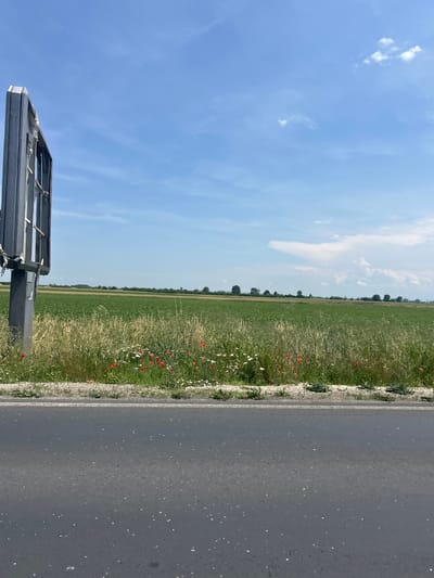 The image depicts a bright, sunny rural landscape, likely taken in Graf Ignatievo, Bulgaria. On the right side of the frame, a dark asphalt road is visible, marked by a solid white line along its edge. Immediately to the left of the road, a vibrant strip of roadside vegetation thrives, characterized by tall green grasses, numerous white wildflowers, and scattered clusters of red poppies. Beyond this strip, a vast, green agricultural field stretches towards the horizon, appearing cultivated with young crops. A distant line of trees forms a dark green band along the far horizon. The upper portion of the image is dominated by a clear blue sky with a few wispy white clouds. In the bottom-left corner, a partial view of a grey metallic structure, resembling the frame or support of a large billboard, is present. The scene is illuminated by bright daylight, suggesting it is mid-day. No people or activities are visible, and there is no discernible text. The overall impression is one of serene and open countryside.