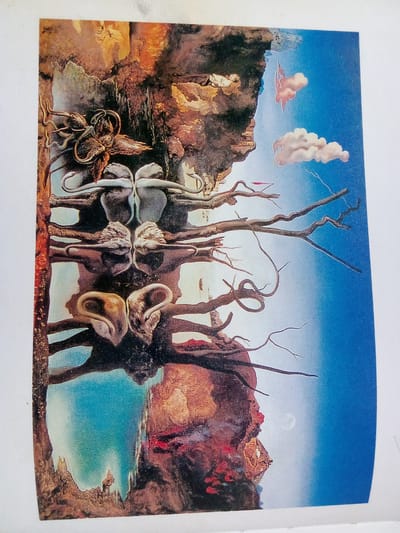 The image is a surrealist painting, possibly by Salvador Dalí. It depicts a dreamlike landscape with a rocky cliff face on the left and a gradient blue sky on the right. Twisted, gnarled branches extend from the cliff into the sky. Various amorphous, fleshy forms are suspended from or attached to the branches, some appearing like ears or soft, distorted faces. There are also several wispy, pinkish clouds in the sky and a faint moon. The bottom of the painting shows a reflective, watery surface with indistinct shapes and a small figure in the distance. There is no identifiable connection to the city of Zhmerynka, Ukraine.