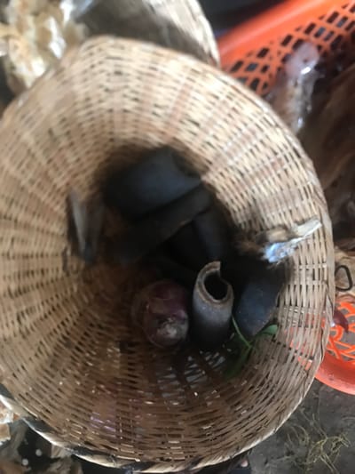 The image shows a woven basket filled with various items. The basket is made of natural materials and has a round, open top. Inside the basket, there are several dark-colored, possibly rubbery, items. A single red onion is nestled in the center of the basket, surrounded by the dark objects. There is a small, green plant stem visible in the upper right corner of the image.
The image is taken in Umudike, Nigeria, located at the coordinates latitude: 5.481, longitude: 7.546.