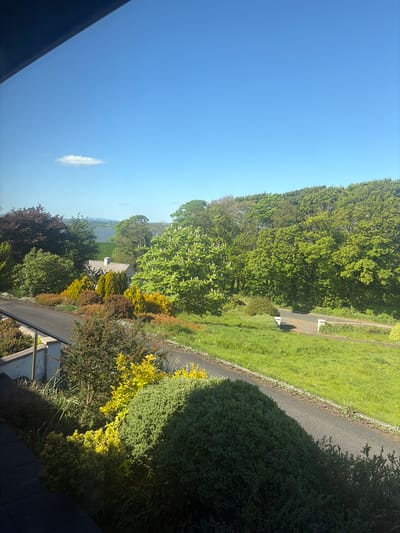 The image captures a bright, sunny day in the Municipal District of Adare — Rathkeale, Ireland. The foreground features a variety of lush greenery including bushes and trees. The landscape transitions to a green lawn alongside a paved path, framed by mature trees. In the distance, glimpses of buildings and the sea can be seen, suggesting a coastal location or proximity to a body of water. The sky is clear blue with a single small cloud. The vantage point is from a slightly elevated position, possibly a balcony or upper story of a building.