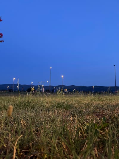 The image depicts an outdoor scene at dusk in Šempeter pri Gorici, Slovenia. The foreground is dominated by a field of dry grass with some green blades interspersed. In the middle ground, numerous tall, thin light poles are visible, each topped with a glowing light, illuminating the otherwise dim landscape. Behind the light poles, a range of low, dark mountains forms the horizon. The sky is a deep, clear blue, transitioning from darker at the top to a lighter shade near the horizon. In the upper left corner, a cluster of small, dark pink flowers on a branch is present, partially obscuring the sky. No people or animals are visible in the frame. The lighting suggests it is twilight or early evening.