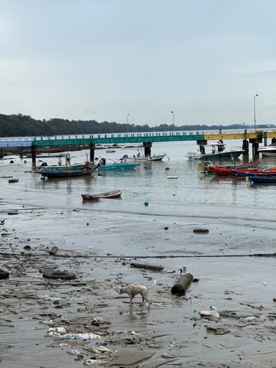 This image depicts a section of the beach in Ban Phe, Thailand, characterized by significant litter and debris scattered across the wet sand and shallow water. The foreground is dominated by a thick layer of plastic waste, bottles, tires, and other refuse, with a light-colored dog walking through it. In the mid-ground, several small fishing boats are moored in the water. Behind the boats, a multi-colored bridge extends across the water, supported by concrete pillars. The bridge has sections painted in green, yellow, and blue. In the background, a dense line of trees forms the coastline, with a hazy sky overhead. The scene conveys a sense of environmental pollution affecting the coastal area.