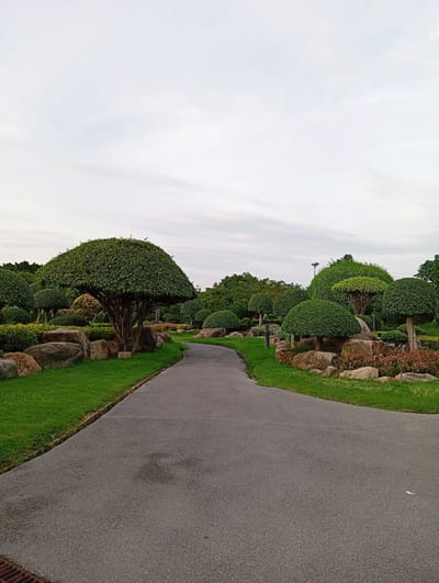 A paved pathway curves through a meticulously landscaped park in Bang Kaeo Subdistrict, Thailand. The pathway, a dark grey asphalt, is bordered on the left by a strip of vibrant green grass, which in turn is edged by large, rough-hewn rocks. Beyond the grass and rocks, a variety of topiary trees with rounded, dense canopies are strategically placed, some with thick trunks and others with multiple thinner stems. Further back, more trees and shrubs form a lush green backdrop. On the right side of the pathway, a similar arrangement of grass, rocks, and meticulously pruned trees can be observed, with some low-lying flowering plants adding a touch of color. The sky above is a pale, overcast grey, suggesting a diffused light. There are no people visible in the image.