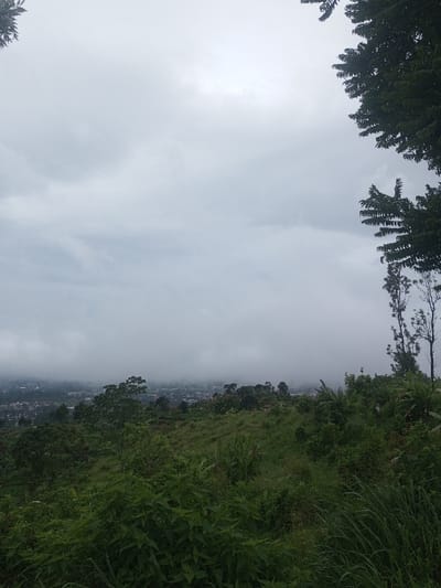 This image presents a panoramic view of Babaliya Mal., India, under an overcast sky. The foreground is occupied by a densely vegetated hillside, featuring a variety of green plants, shrubs, and tall grasses. Foliage from trees partially frames the top-left and top-right corners of the image against the sky. The midground consists of rolling green hills that gradually descend. In the background, an urban settlement is partially visible, characterized by numerous indistinct buildings and structures. This background is heavily obscured by a pervasive layer of dense white-grey fog or low clouds that fills the valley and extends towards the horizon. No individuals, animals, or specific actions are discernible within the captured scene. The overall lighting is diffused, indicating heavy cloud cover.