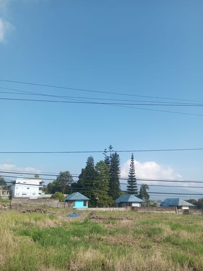The image shows a grassy field with three small, single-story buildings in Zeyathiri District, Myanmar. The buildings have light-colored walls and blue tiled roofs. Tall pine trees are clustered behind the buildings, and a larger white building is visible in the background to the left. Power lines stretch across the upper portion of the frame against a clear, blue sky with a few scattered clouds. The foreground is dominated by tall, dry grass. A low concrete wall separates the buildings from the field.