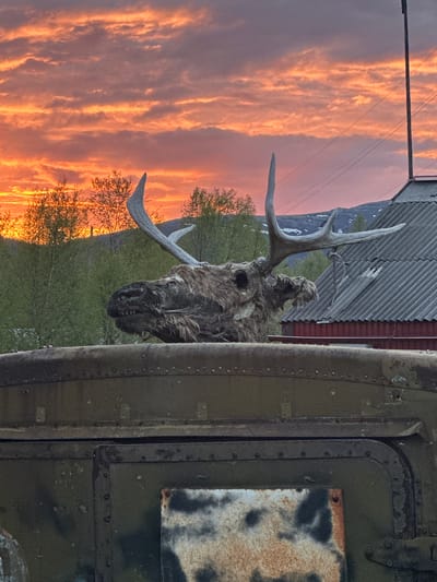 The image presents a taxidermied animal head with antlers, possibly a moose or deer, mounted on the side of a heavily riveted, olive-green metal structure, likely a vehicle or building. This structure is positioned near a building with a corrugated roof. In the background, there is a landscape with trees and a striking sunset featuring vibrant orange and pink hues in the sky. Based on the inclusion of "Luven'ga, Russia" in the prompt, the scene is implied to be located in or near that city.