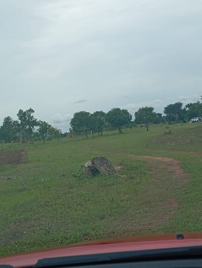 The image depicts an outdoor scene in a rural area, likely Garin Mallum, Nigeria. The setting is a grassy, gently sloping landscape dotted with numerous trees of various sizes, suggesting a savanna or woodland environment. In the foreground, a red-colored vehicle's dashboard or hood is visible, indicating the photo was taken from inside a car.
The most prominent object in the foreground is a large tree stump, weathered and rough, sitting in the grass to the right of the center. A dirt path or track winds its way through the grass, curving away from the viewer and towards the background. On the left side of the image, a partially constructed brick wall is visible, possibly part of a building or enclosure.
In the middle ground and background, more trees are spread across the landscape, some with lush green foliage. In the distance, a white vehicle is parked on the right, and a few indistinct figures can be seen, one near the vehicle and another further back. The terrain appears somewhat uneven, with patches of bare earth and dried vegetation interspersed with the green grass.
The sky is overcast with diffused light, suggesting it is either early morning or late afternoon, or possibly a cloudy day. There are no visible signs of text in the image. The overall impression is one of a quiet, natural environment in a rural setting.