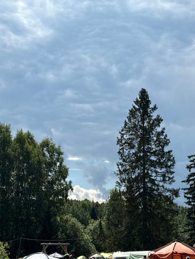 The image depicts a campground scene under a cloudy sky. In the foreground, several tents are visible, including a prominent orange tent and a white tent. The tents are set up amidst a dense forest of green trees. A tall, dark green evergreen tree stands prominently in the right half of the frame, its foliage dense and reaching towards the sky. To the left, a cluster of deciduous trees with lighter green foliage forms a backdrop. The sky is filled with a thick layer of gray and white clouds, with hints of blue sky peeking through in some areas. In the distance, rolling hills covered in trees are visible. The overall impression is one of a natural setting, likely a campsite in or near the city of Sergino, Russia, given the vegetation and the style of tents.