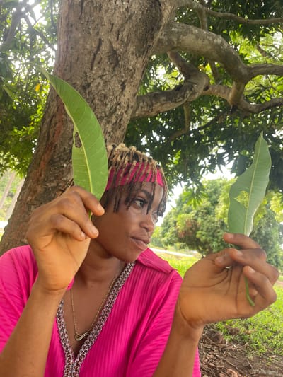A person is captured in a close-up, outdoors, holding two green mango leaves, one in each hand, and looking upwards and to the right with a contemplative expression. The individual has dark skin and dreadlocks, partially covered by a vibrant pink headband. They are wearing a brightly colored pink garment, possibly a pleated dress or top, featuring an embroidered neckline with intricate silver and brown patterns. A delicate gold chain with a small infinity symbol pendant is visible around their neck. The mango leaves show some natural damage, with small holes or tears.
The setting is a lush, natural environment, characterized by large trees with thick, textured trunks and abundant green foliage forming a canopy overhead. Bright natural light filters through the leaves, suggesting it is daytime, likely mid-morning or afternoon, creating a serene atmosphere. Hints of green grass and earthy ground are visible in the background. The scene evokes a moment of connection with nature, consistent with an outdoor location like Ogbe, Nigeria. No text is visible in the image.