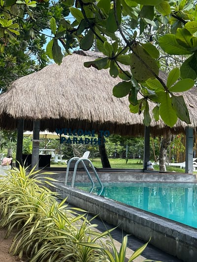 An outdoor swimming pool is pictured in Mirissa, Sri Lanka, with a thatched-roof pavilion in the background. The pavilion has the words "WELCOME TO PARADISE" inscribed on it. The pool is turquoise and reflects the surrounding greenery. Plants with long, striped leaves line the edge of the pool in the foreground. The scene is bathed in sunlight, suggesting a warm climate.