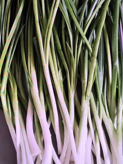 The image is a close-up, overhead shot of a bunch of fresh green onions. The green onions are tightly packed together, with their white bases forming the bottom of the frame and their green stalks extending upwards and filling the rest of the image. The stalks are varied in shade from a light green to a darker, more vibrant green, with some showing hints of yellow or pink. There are visible water droplets on some of the stalks, suggesting they have recently been washed. The background is dark and out of focus, drawing all attention to the green onions. There is no information about the location in Voluntari, Romania present in the image.