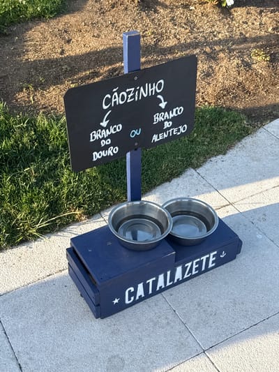 An outdoor scene in Oeiras, Portugal, features a blue wooden structure designed to hold two stainless steel dog bowls filled with water. A dark chalkboard sign, mounted on a blue post, displays white lettering in Portuguese. The sign reads "CÃOZINHO" at the top, with an arrow pointing down to "BRANCO DO DOURO" on the left and "BRANCO DO ALENTEJO" on the right, separated by the word "OU". Below the structure, the word "CATALAZETE" is stenciled in white, accompanied by a small anchor graphic. The ground is a paved walkway next to a grassy area with soil and shadows from sunlight.