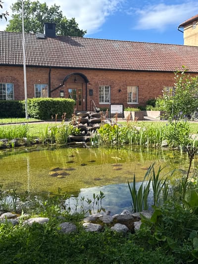 The image shows a tranquil scene in front of a brick building with a red tiled roof, likely part of the Norra Bergslagen industrial museum in Eksjö, Sweden. A well-maintained pond with clear, greenish water occupies the foreground. Reeds and aquatic plants line the edge of the pond, which is bordered by rocks and lush green grass. A small waterfall cascades into the pond from a rocky formation.

Behind the pond, a neatly trimmed green hedge runs along the front of the brick building. The building features several windows with white frames and gridded panes. A wooden door with glass panels is centrally located, suggesting an entrance. To the left of the entrance, a flagpole stands tall. A dark-colored vent or chimney is visible on the roof. In the background, part of another building with a yellow facade and a dark gutter system can be seen. The sky above is a clear blue with a few wispy clouds. The overall impression is one of peaceful coexistence between nature and architecture.