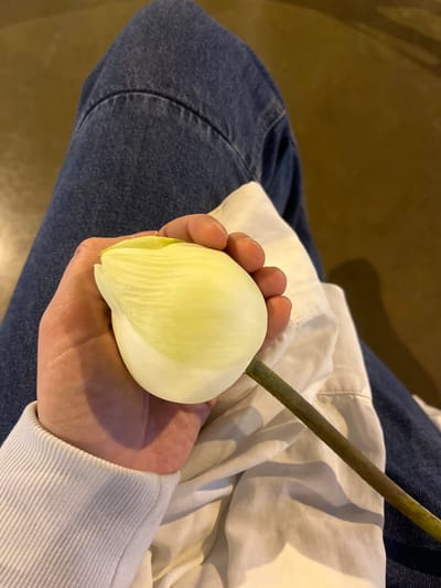 In this media file, a person's hand is holding a closed lotus flower. The person is wearing blue jeans and a white garment, possibly a hoodie or sweatshirt with ribbed cuffs. The lotus flower is pale yellow with white petal tips and has a long, dark green stem. The background is blurred, showing a textured, warm-toned surface, perhaps a floor or a table, and some fabric. The lighting suggests an indoor setting, possibly during the day or evening, with a soft, diffused light. The overall mood conveyed is calm and contemplative. There is no visible text in the image. The scene appears to be set in Tha Khlong Town Municipality, Thailand.