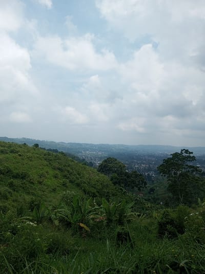 The image depicts a panoramic view overlooking the city of Vieng Phouka, Laos, from an elevated vantage point on a hillside. The scene is dominated by a lush green, natural environment in the foreground and midground, contrasting with a dense urban settlement in the distance.
The sky occupies the upper third of the frame, featuring an overcast, light blue sky with scattered white and grey cumulus clouds. Visibility extends to the horizon, which is somewhat hazy.
The immediate foreground, at the bottom of the image, consists of long, green blades of grass and various low-lying green plants. Directly behind this, the slope of a verdant hill rises from the lower left towards the upper left, covered densely with diverse green vegetation, including shrubs and small trees. Several broad-leafed plants, consistent with banana plants, are visible in the lower-mid portion of this slope.
In the midground, a substantial portion of the valley and opposing hillsides are covered in dense forestation, with numerous mature trees featuring full, dark green canopies, particularly on the right side of the frame.
The background reveals a sprawling urban or semi-urban settlement nestled within a valley, extending across the center-right of the image. Numerous buildings with mostly grey rooftops are visible, suggesting a significant population density. The settlement is surrounded by and intermingled with additional green hills and foliage, receding into the hazy distance under the cloudy sky.
There are no discernible people, animals, or specific actions occurring within the frame. The scene presents a static landscape view.