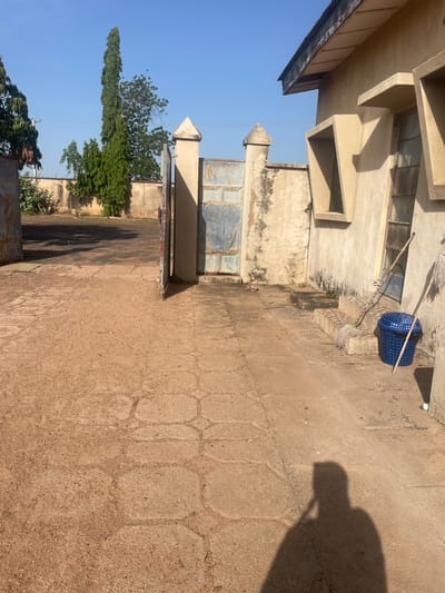 The image depicts an outdoor scene in Wauro Jabbe, Nigeria, characterized by a sunlit environment and a light blue sky. In the foreground, a person's shadow is cast on a paved courtyard. The courtyard is constructed with interlocking hexagonal concrete pavers set in a sand-like ground cover. To the right, a light-colored building with a textured, weathered facade is visible. This building features uniquely shaped windows with angled frames and a corrugated metal roof. Adjacent to the building's entrance, a set of concrete steps leads up to a doorway. Outside the doorway, cleaning supplies are arranged: two mops, one leaning against the building and the other resting on the steps, and a blue plastic basket containing what appears to be a black garbage bag. The pathway leading away from the building towards a gate is also paved with the same hexagonal pavers. A large, weathered metal gate stands open, flanked by two concrete pillars topped with pointed finials. Beyond the gate, a wall extends, and behind it, a tall, slender green tree stands prominently. Several other trees and foliage are visible in the background, along with a power line. The overall impression is one of an exterior space, likely a residential or institutional compound, in daylight.