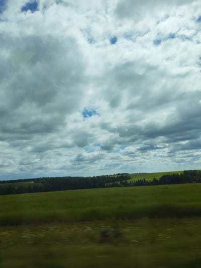 This media file captures a landscape scene from what appears to be a moving vehicle, likely a car or train, given the motion blur. The view is dominated by a vast expanse of green fields in the foreground and middle ground. A line of dark green trees forms a dense border along the horizon, separating the fields from the sky.
The sky is filled with dramatic, heavy clouds, predominantly grey with some lighter patches and hints of blue peeking through. These clouds suggest overcast or partially cloudy weather. The time of day appears to be daytime, but the cloud cover obscures direct sunlight, creating a diffused light across the scene.
The location is specified as Buranovo, Russia. The landscape, characterized by rolling green fields and a distant treeline, is consistent with rural or agricultural areas. There are no people or identifiable man-made objects in the immediate view, besides the implied presence of the vehicle from which the image is taken.
The motion blur in the foreground, particularly in the lower portion of the image where some faint white specks resembling flowers or distant vegetation are visible, indicates movement. The overall impression is one of a quiet, natural landscape passing by. There is no visible text in the image.