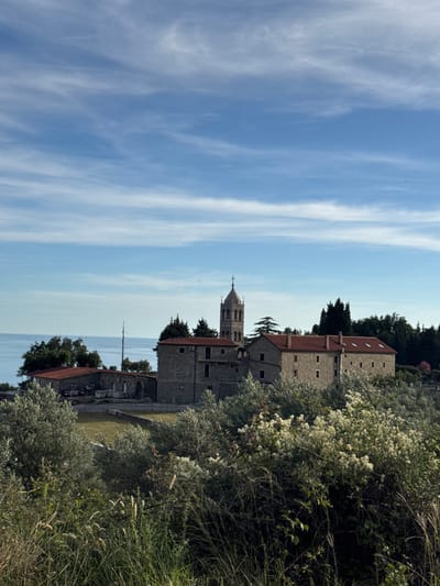 An aerial view captures the monastery of Sveta Nedjelja, perched on a cliff overlooking the Adriatic Sea in Donji Katun, Montenegro. The monastery complex, constructed from stone and topped with red tiled roofs, consists of several buildings, including a bell tower adorned with a cross. Lush green foliage, including trees and bushes with white flowers, surrounds the monastery and spills into the foreground. The sea, a calm expanse of blue, stretches to the horizon under a partly cloudy sky with wispy white clouds. The overall scene is one of tranquility and natural beauty.