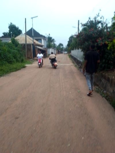 The image depicts an unpaved, reddish-brown dirt road in Orlu, Nigeria, under an overcast sky. The road stretches into the distance, lined on both sides by a mix of houses and dense green vegetation.
In the midground, two individuals are riding away from the camera on motorbikes or scooters. The person on the left is on a red and white scooter, wearing a white shirt. The second rider, slightly to the right, is on a darker motorcycle and appears to be wearing a light brown shirt. Both are seen from behind.
On the right side of the road, in the foreground, a person walks away from the camera. This individual wears a black short-sleeved shirt, grey pants, and sandals. A white picket fence runs alongside this side of the road, behind which lush bushes with red flowers are visible. On the left side of the road, a dense green embankment rises, obscuring parts of the structures behind it.
The buildings visible in the background and along the road vary in style, including structures with corrugated iron roofs and others with dark, possibly tiled, roofs. Utility poles, some fitted with what appear to be solar panels for street lighting, are also scattered along the roadside. The overall lighting suggests either an early morning, late afternoon, or a heavily overcast day, contributing to the soft, diffused light across the scene. There is no visible text in the image.