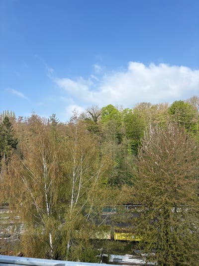 The image shows a vertical shot of a sky with clouds on the left side and a view of trees on the right side. The trees are varied in color, from deep green to brown. There is a hint of a building among the trees, with an indication of a road. The image appears to have been taken in Neuwied, Germany.