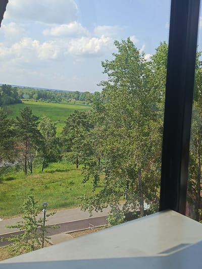 This is a wide-angle, outdoor photograph taken from a window, looking out at a landscape. The foreground shows the edge of a window frame and a light-colored surface, possibly a windowsill.
The main subject is a lush green landscape under a partly cloudy blue sky. In the middle ground, there's a road with a bicycle lane running alongside it. A solitary street lamp stands beside the road, with a small, leafy tree in front of it. Further back, a large, open field of bright green grass stretches out, bordered by a dense line of various trees. The trees are a mix of deciduous and coniferous, with vibrant green foliage.
The time of day appears to be daytime, likely late morning or early afternoon, given the bright sunlight casting shadows and illuminating the scene. The weather is pleasant, with a mix of sun and clouds, suggesting a fair-weather day. The presence of a road, bicycle lane, and street lamp indicates a semi-urban or park-like setting, possibly on the outskirts of a town or city.
The overall mood of the image is peaceful and serene, capturing a typical summer day in a natural environment. There is no visible text in the image. The scene is consistent with a location in Angarsk, Russia, given the typical vegetation and landscape found in the region during warmer months.