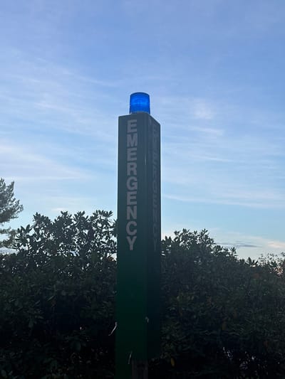 A dark green, rectangular emergency call box stands prominently, angled slightly to the right of the frame's center. A bright blue beacon light illuminates its top, suggesting active status. The word "EMERGENCY" is printed vertically in light-colored, capitalized letters on at least two visible sides of the post. Behind the call box, dense green foliage with broad leaves occupies the lower two-thirds of the background. Above the foliage, the sky is light blue with scattered, wispy white clouds. The scene is located in the city of Wellesley, United States. There are no people, specific actions, or interactions depicted.