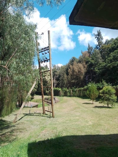 The image displays a serene outdoor landscape in Gitaru, Kenya, under a bright blue sky adorned with scattered white cumulus clouds. The foreground is dominated by a sunlit grassy area, with a large, dark shadow cast across its lower portion, indicative of an overhead structure or building.
Central to the mid-ground are two robust wooden utility poles, equipped with cross-arms, electrical insulators, and power lines extending across the upper frame. Adjacent to these, a third wooden pole lies at an angle, resting against the ground. Behind these poles, a small, low-roofed structure, possibly a shed, is partially visible. Further back, a low stone wall or rock formation adds texture to the landscape.
The scene is abundant with diverse flora. Tall, leafy trees with light green foliage frame the left side, while the background is filled with a dense canopy of various trees, ranging from dark green evergreens to those with brownish leaves, suggesting a forest edge. Within the open grassy expanse, two smaller, distinct trees—one conifer-like and another bushy specimen—stand isolated.
The photograph captures a sunny day, likely morning or afternoon, given the clear sky and prominent shadows. There are no people visible, and no specific activity or event is taking place, presenting a peaceful, untroubled environment. In the upper right corner, the underside of a dark, angular overhang, possibly a building's roof edge or balcony, is partially visible. No text is discernible in the image.