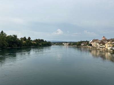 A wide, calm river flows from the background towards the foreground. The river occupies the majority of the lower half of the image. On the left bank, dense green trees line the shore, with a few taller evergreen trees interspersed. The right bank is lined with a European-style town featuring buildings with pitched roofs, a prominent pink tower with a pointed roof, and balconies. The buildings are clustered closely together and reflect in the water. In the distance, the river curves to the left, with more trees and distant hills visible. The sky is overcast with scattered clouds, casting a soft, diffused light on the scene. The image appears to be a landscape view of the Rhine River in Rheinfelden, Switzerland, looking downstream towards the town. There are no visible people or ongoing actions in the image.