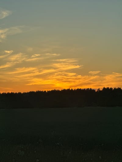 The image captures a sunset over a rural landscape, likely in Võerdla, Estonia. A dark, silhouetted forest line stretches across the middle of the frame, separating a dimly lit field in the foreground from a vibrant sky above. The sky transitions from a pale blue at the top to hues of orange and yellow near the horizon, with wispy clouds streaked across the warmer tones. The field in the foreground is dark and appears to be agricultural land, possibly a cultivated field or pasture, with some faint indications of vegetation or perhaps distant lights. There are no people or visible structures in the scene. The overall impression is one of a serene and natural evening in a rural setting.